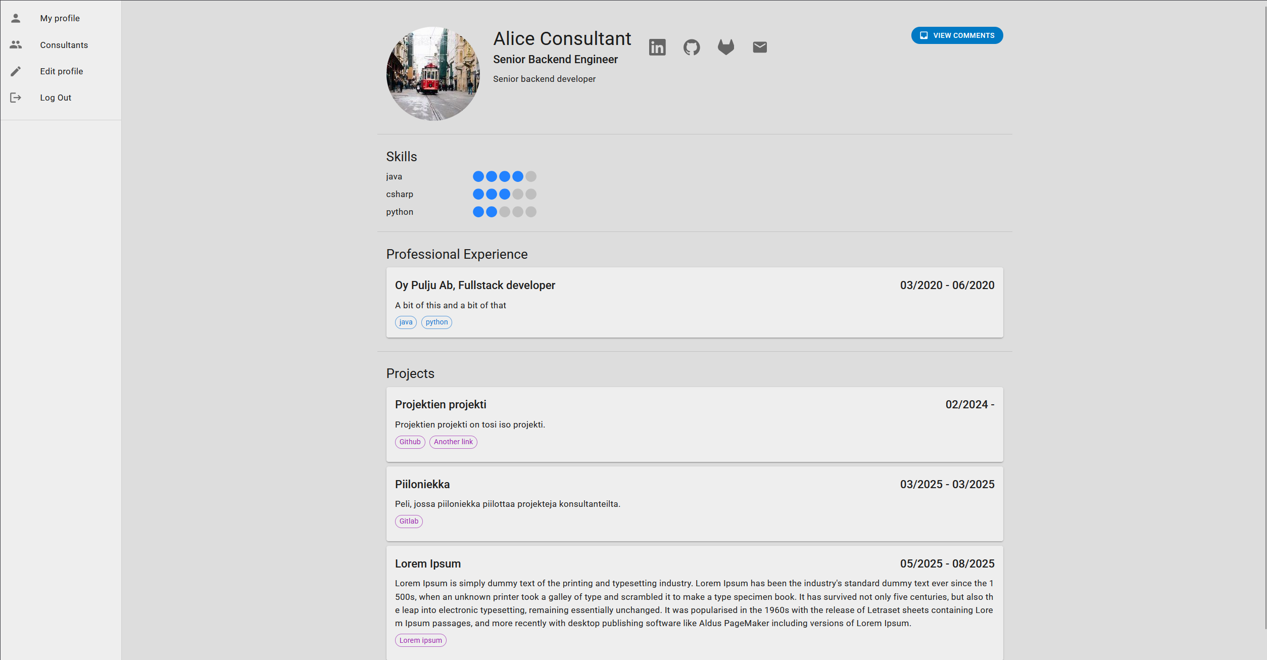 Consultant profile with skills, work experience, and projects